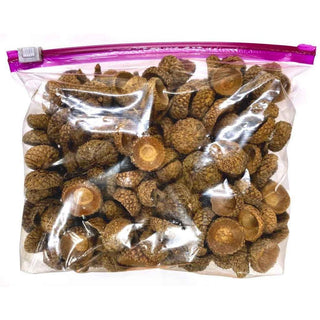 Acorn Caps For Resin Casting