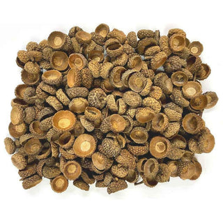 Acorn Caps For Resin Casting