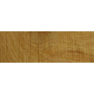 Royal British Estate European Hornbeam - Please Choose Size