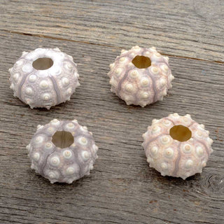Sputnik Sea Urchins - Set of 4