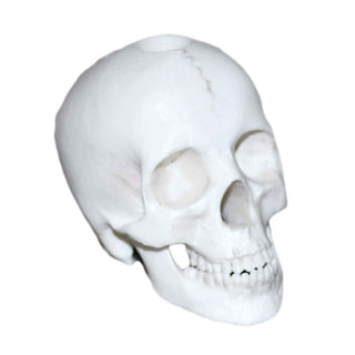 3D Printed Skull Pen Holder