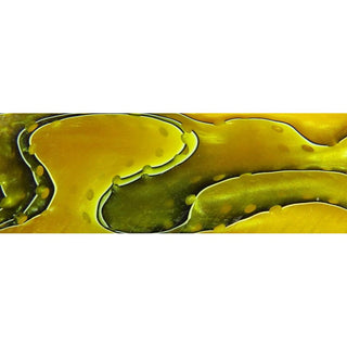 Electric Yellow Mesh Acrylic Pen Blank AA-65