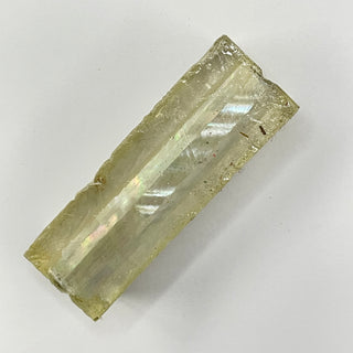 Mother Of Pearl Paua Sierra Blank