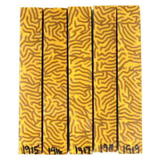 Micarta Pen Blanks - Mustard Custard #1915-1919
