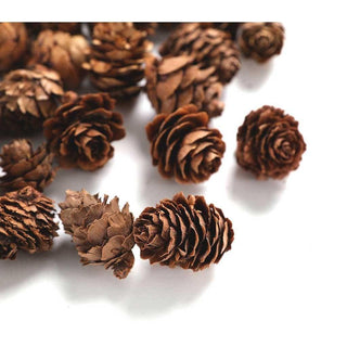 Mini Pine Cones for Resin Casting
