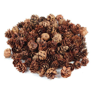 Mini Pine Cones for Resin Casting